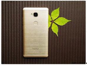 国产在线999,揭秘国内热门影视平台的魅力所在